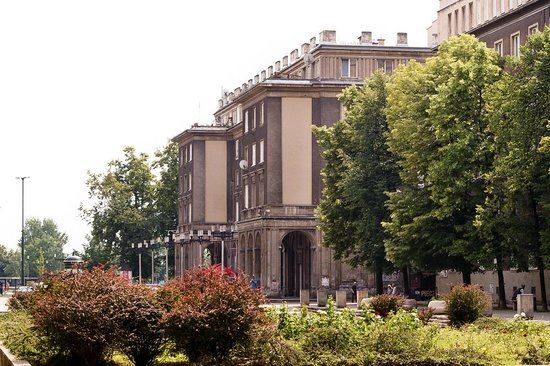 Aleja Róż